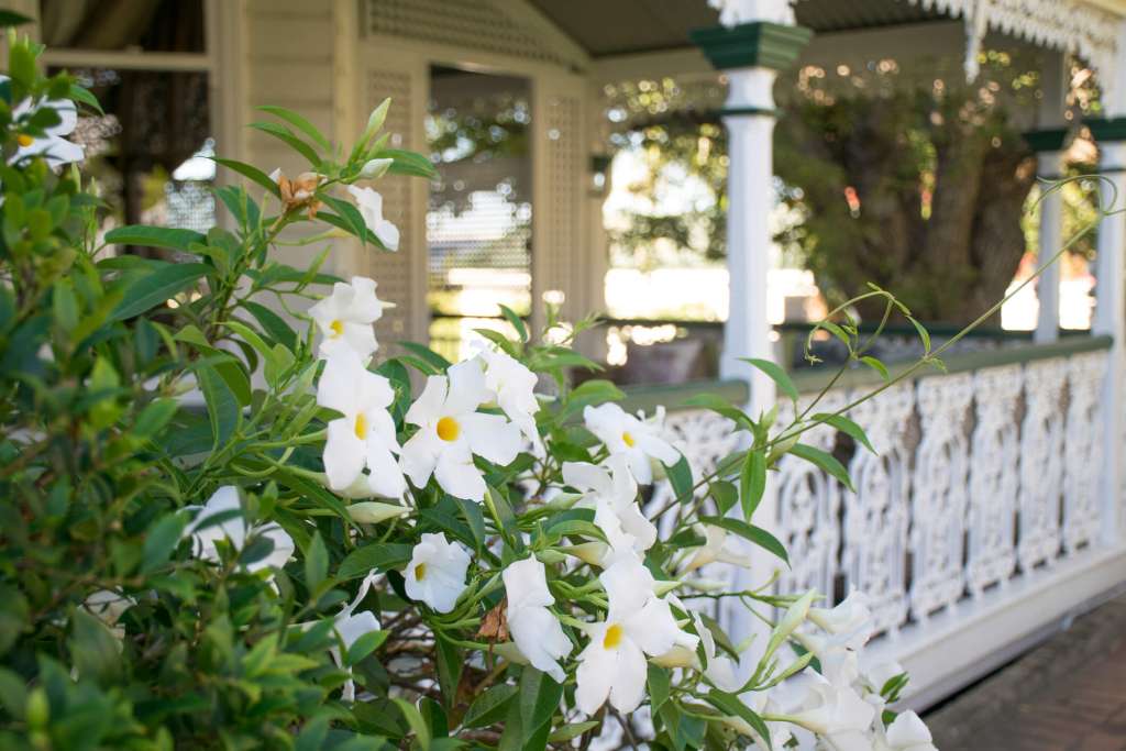 Modern Queenslander House Designs | Home House Design